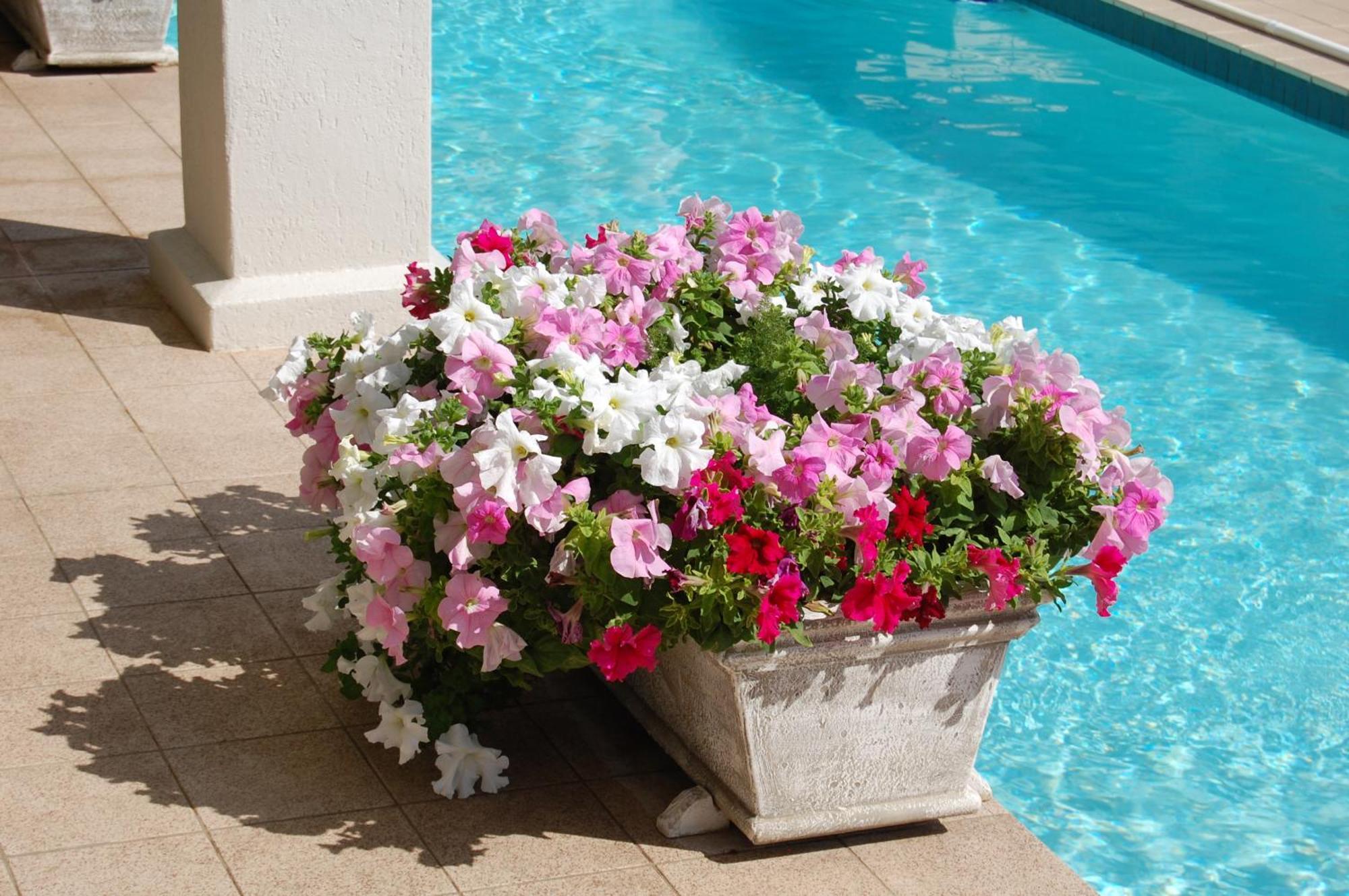 Sandals Guest house Durban