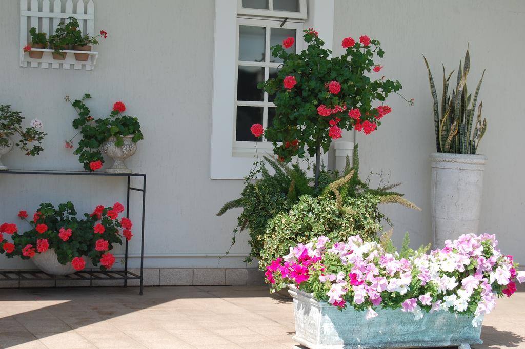 Guest house Sandals 5*